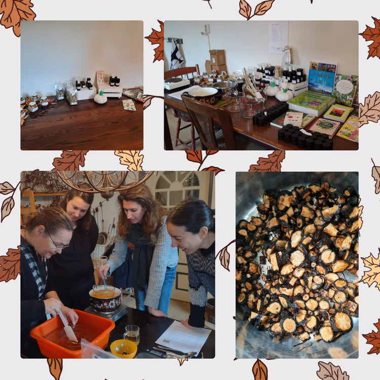 marloes en reina kruidengeneeskunde1