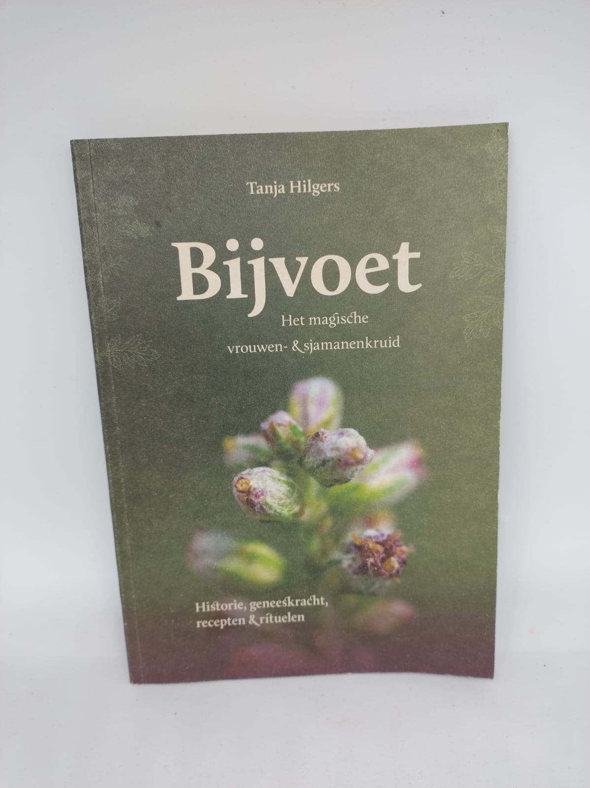 Bijvoet boekje - Tanja Hilgers