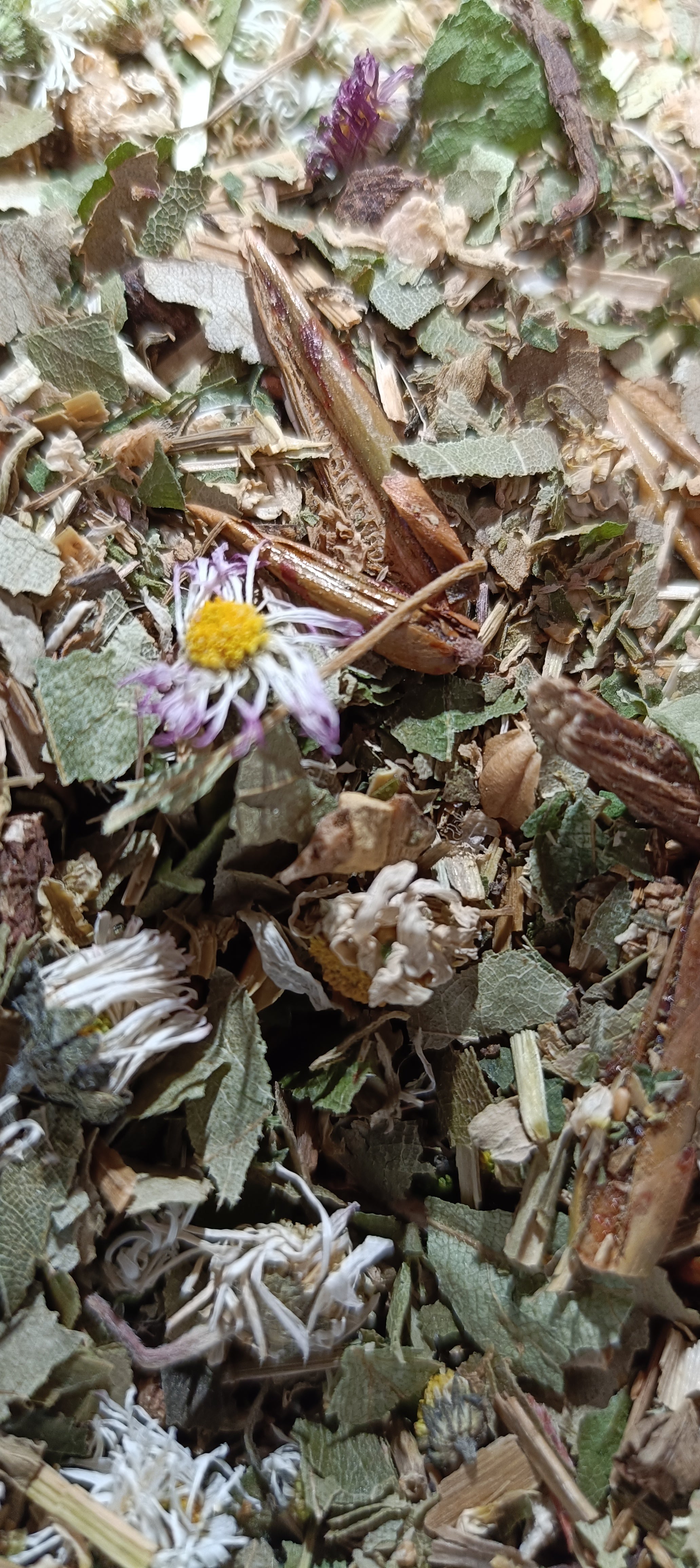 Voetjes in het gras thee